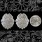 Antiqued Silver Plated Brass Pendant Shields - Set of Two - S-W40